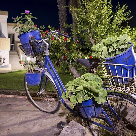 Fili Hotel apartamentowy Tigaki