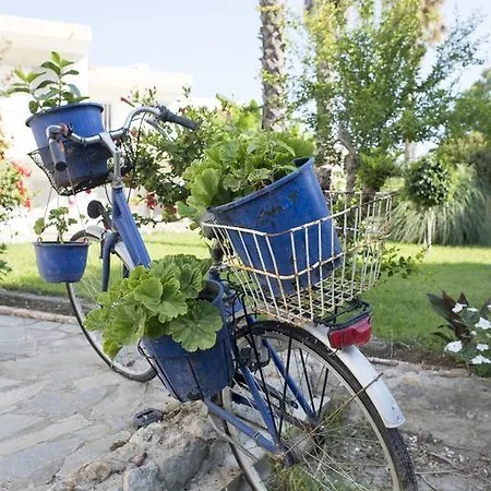 Fili Lägenhetshotell 2*